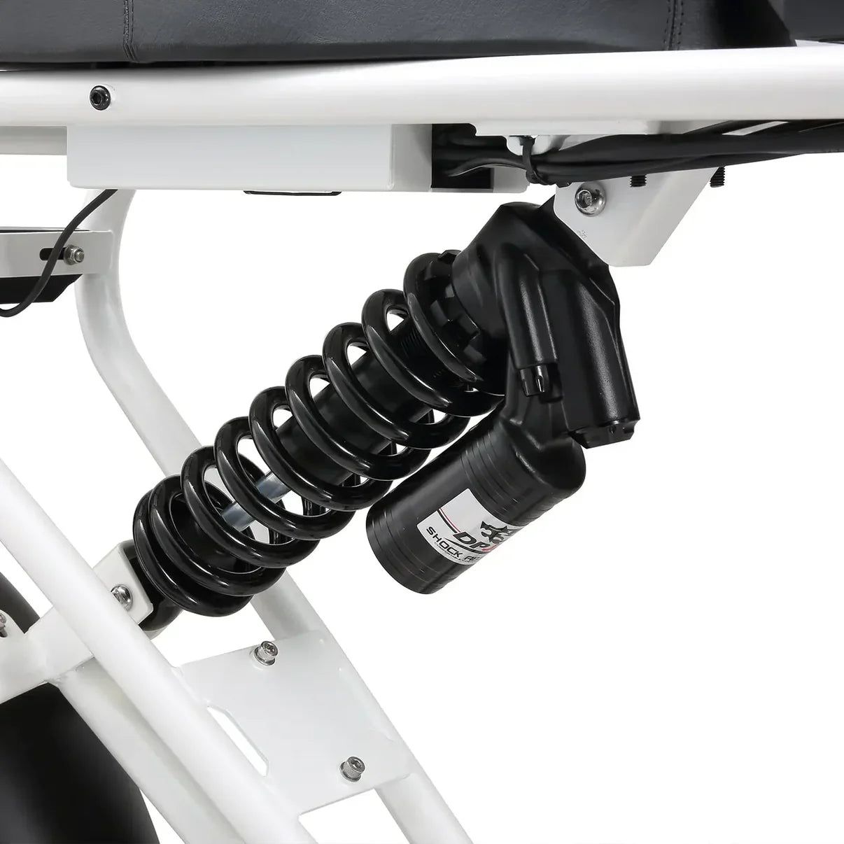 RIDZOX DK300 PLUS | 1200W Motor, 50-100 Miles Range